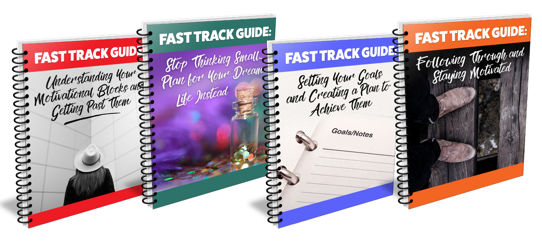 Fast Track Guides with PLR Rights