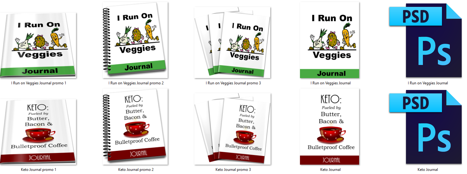 journal ecover image Journal Ecovers