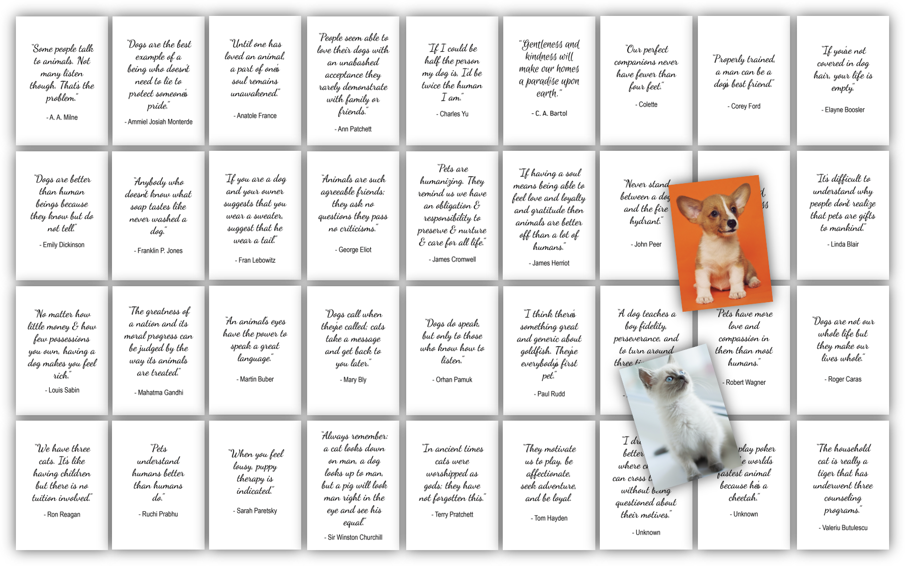 quotes image card deck pets and animals