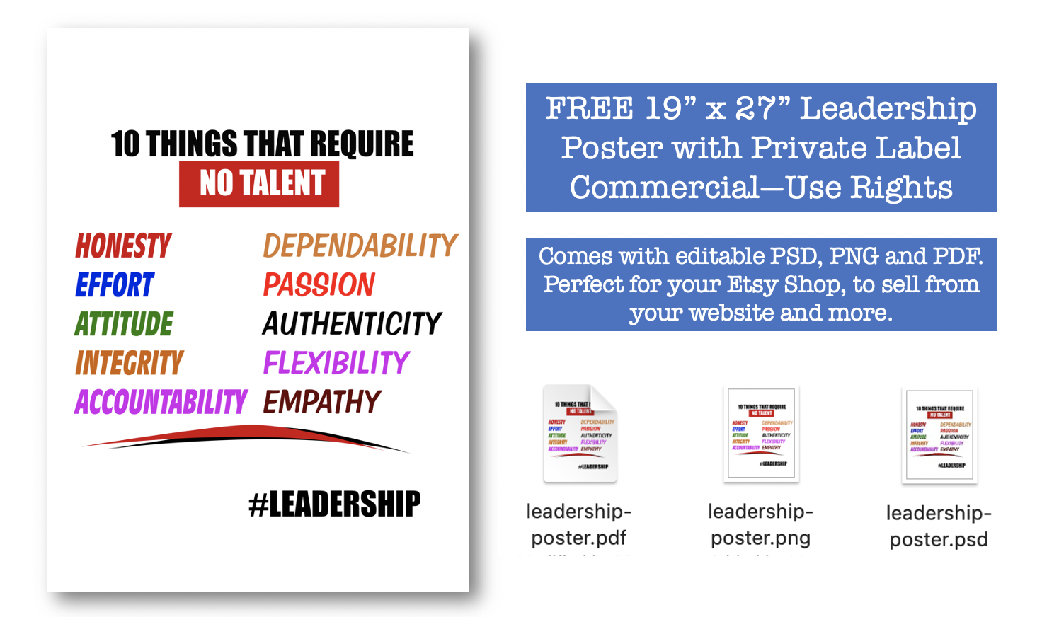 Free Leadership PLR Poster
