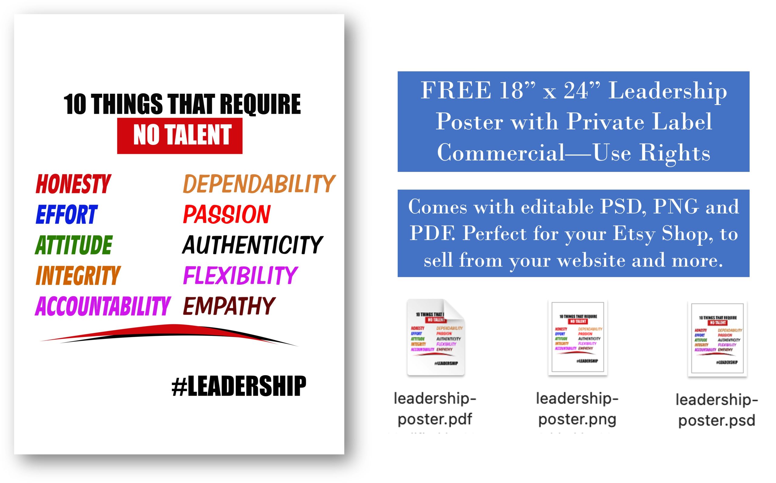 free leadership poster plr