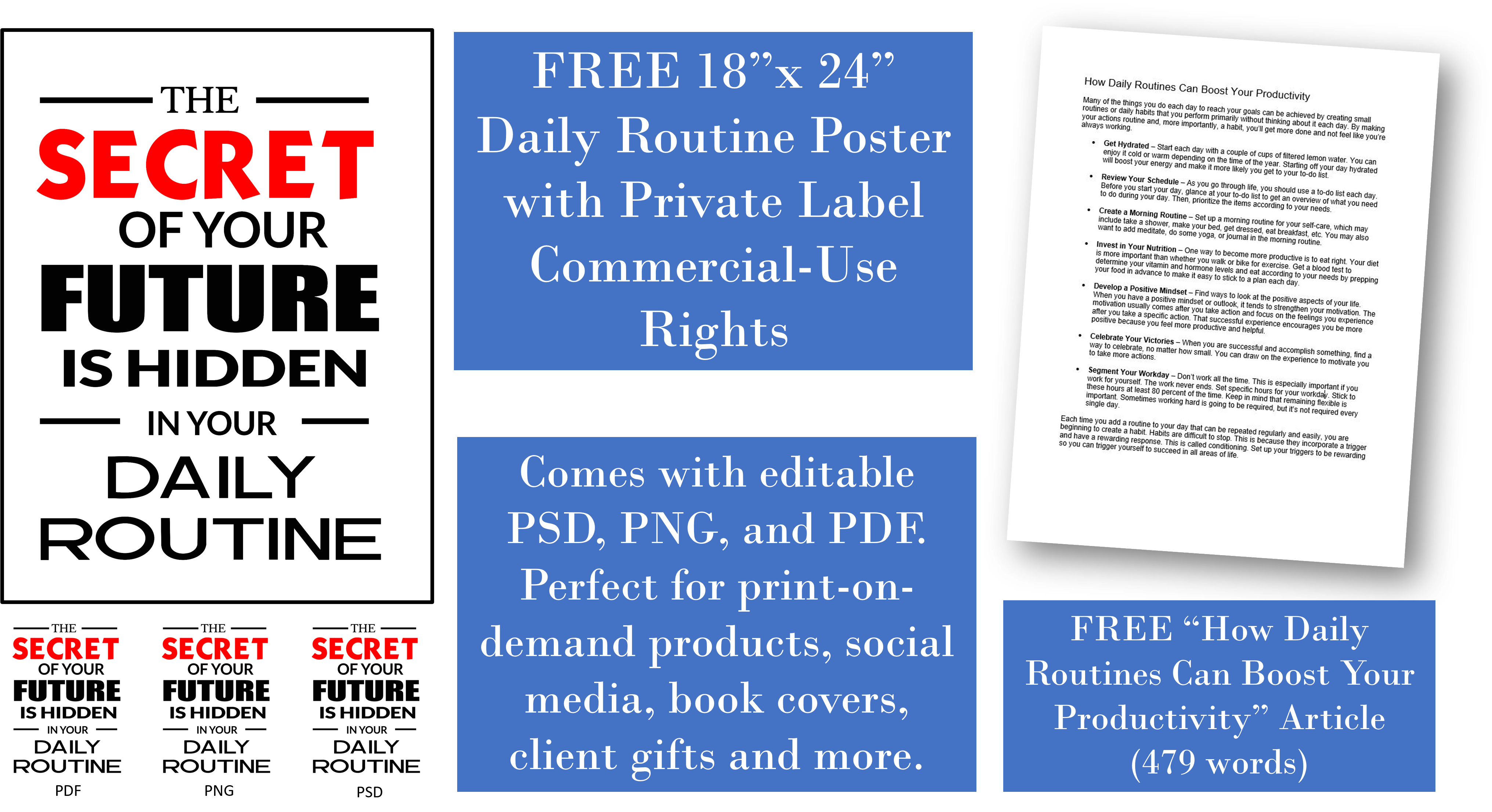 Daily Routine PLR Poster