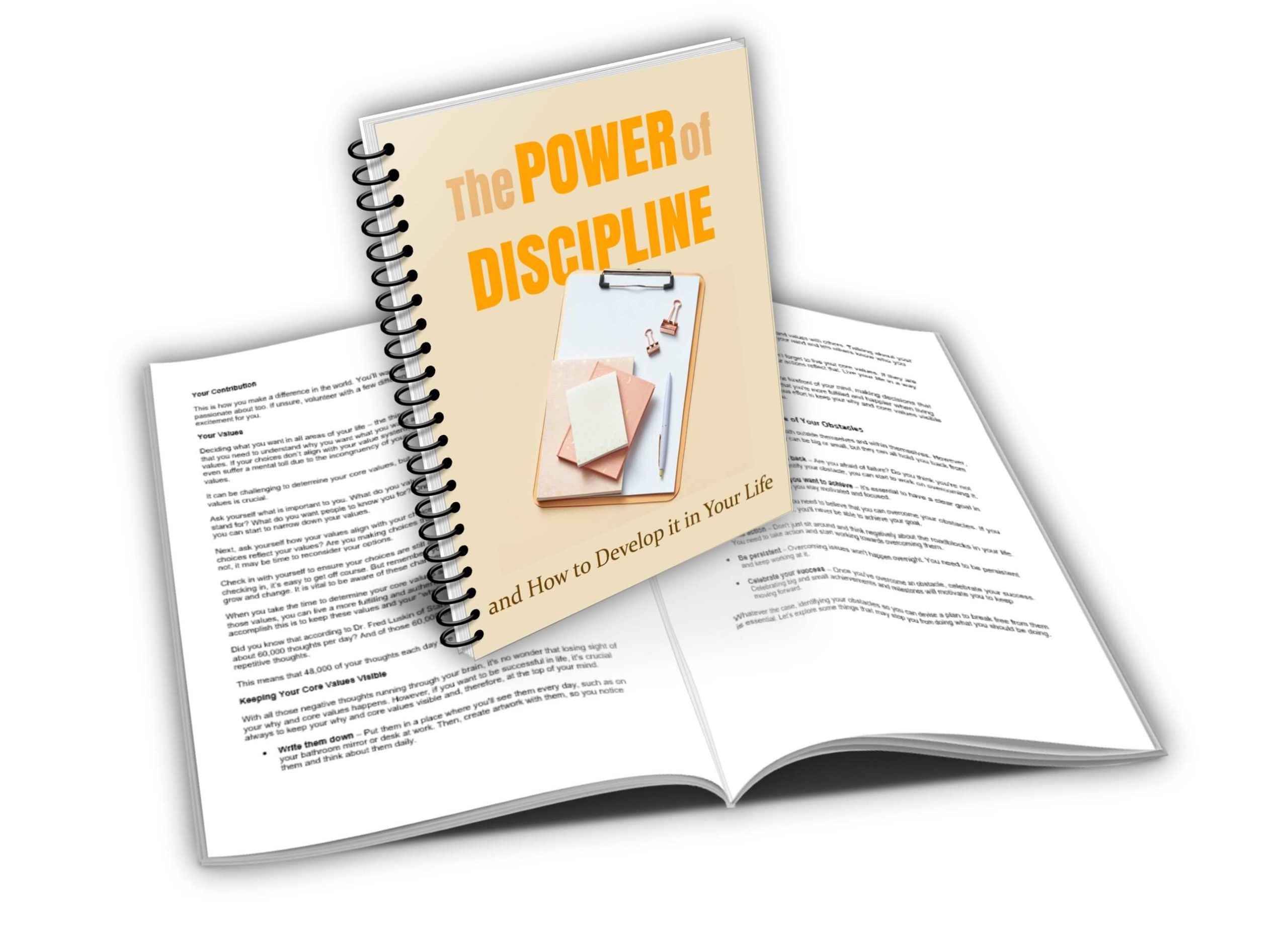 The Power of Discipline Report