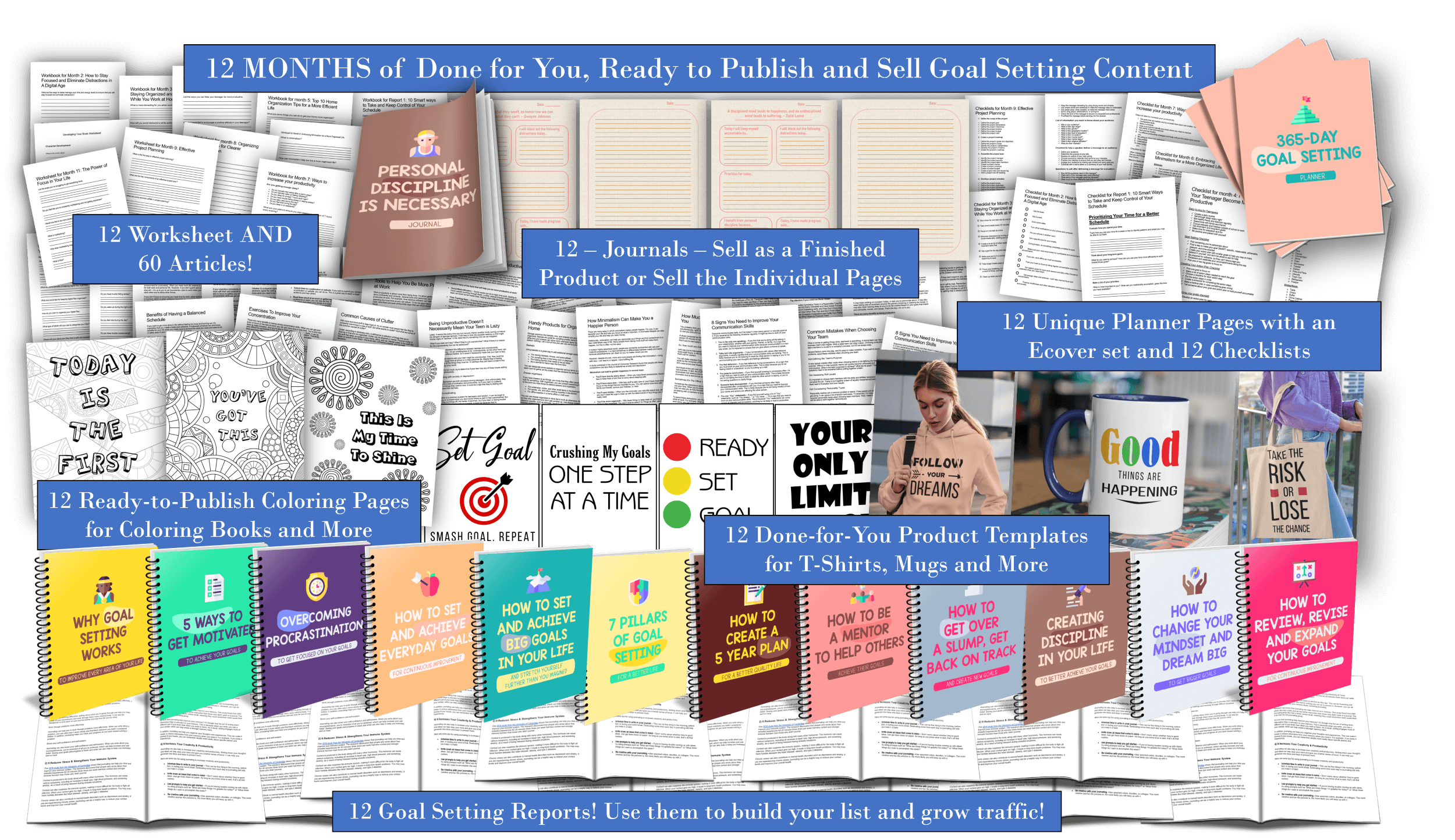 Year's Worth of Goal Setting PLR Content