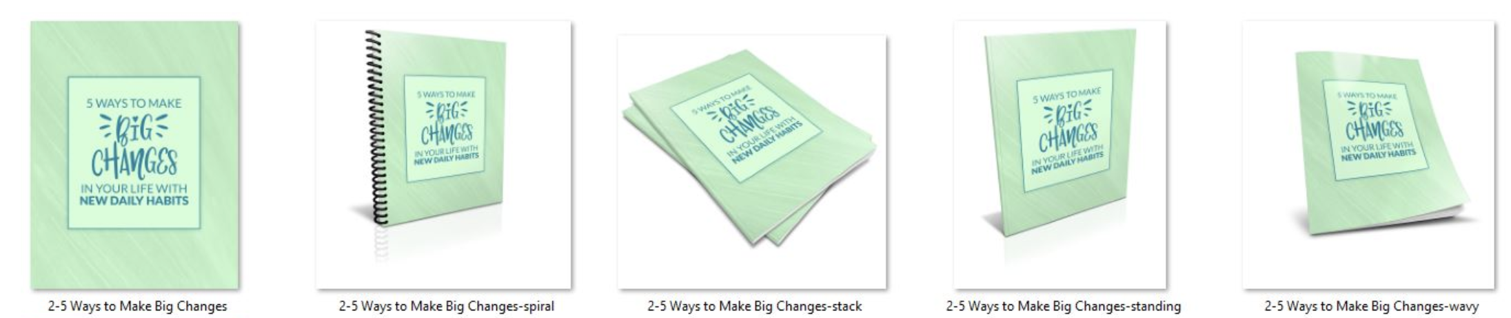 Make Big Changes Report Covers