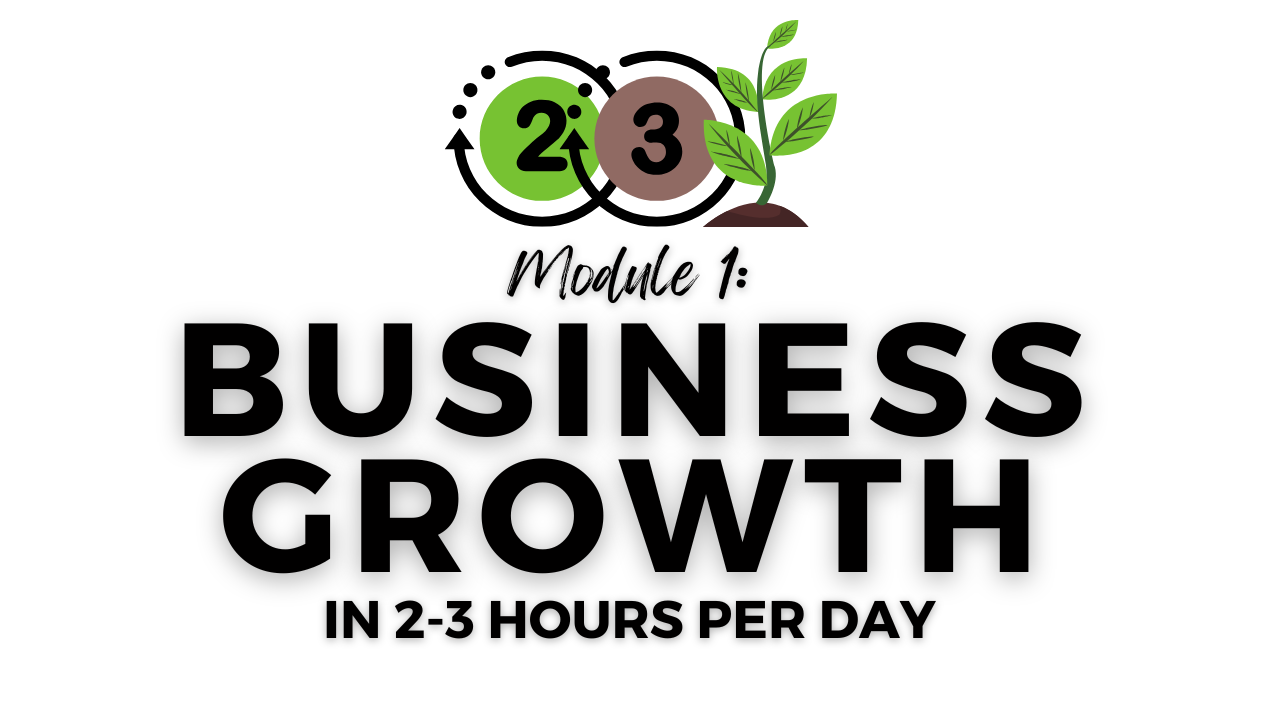 Module 1: Business Growth in 2-3 Hours Per Day